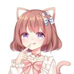 喵果的头像-大王の资源网